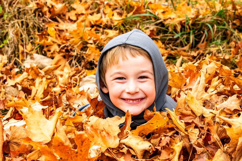 Fall